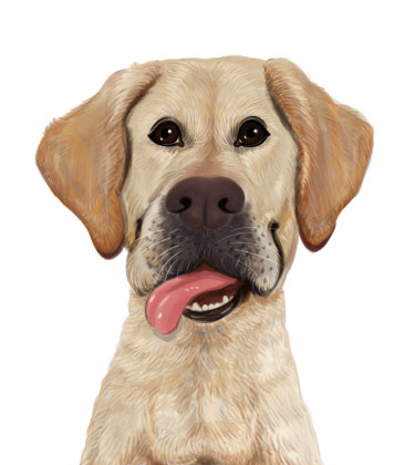 Süßes Hundeportrait mit herausgestreckter Zunge